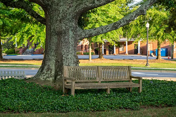 Alpharetta, Georgia