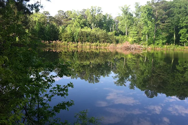 Stockbridge, Georgia