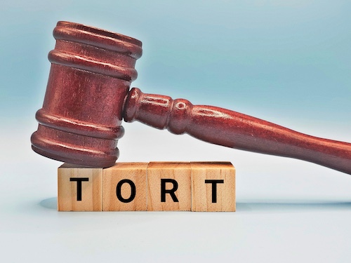 Torts Claims Concept With Wooden Blocks and Gavel